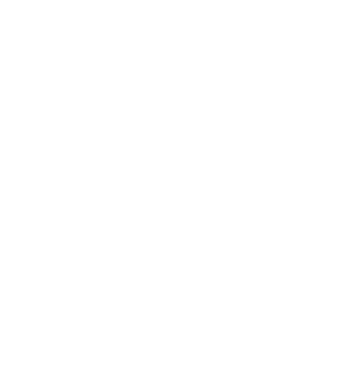 The Tefillin Project